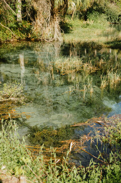 Crystal clear water in natural spring at Rainbow Springs State Park