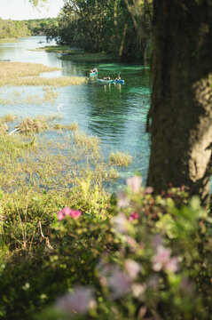 Kayakers paddling through Rainbow Springs State Park waters
