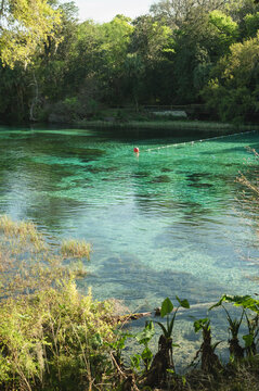 Crystal-clear turquoise spring at Rainbow Springs State Park, Florida