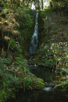 Lush waterfall in Rainbow Springs State Park, Florida