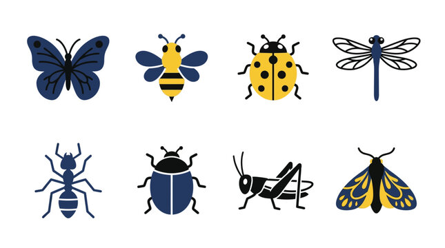 Insects and bugs on white background.