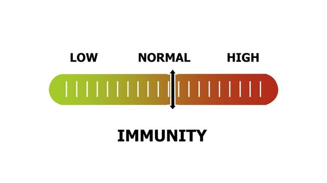 immunity level indicator scale. Low normal & high meter infographic animation. Showing high immunity level color gauge indicator. on a white background 4k animation video