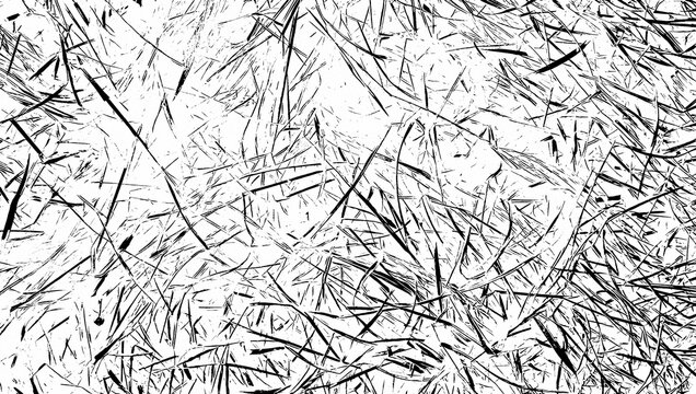 Monochrome high-contrast overhead view of overlapping blades of grass or straw