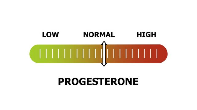 progesterone level indicator scale. Low normal & high meter infographic animation. Showing high progesterone level color gauge indicator. on a white background 4k animation video