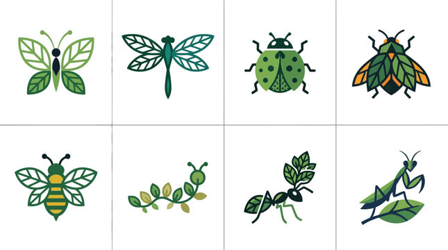 Insects and leaves green nature.