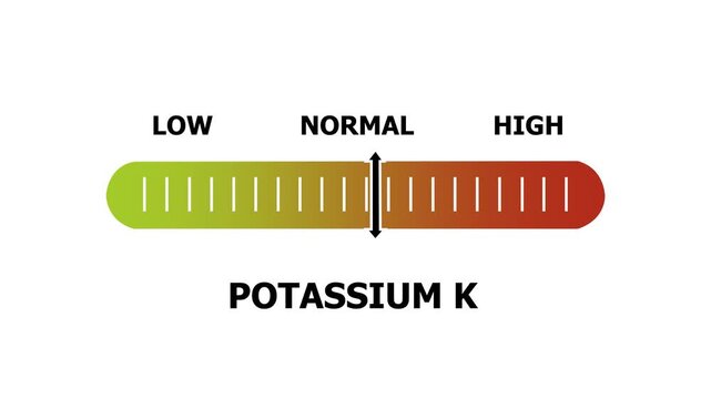 potassium k level indicator scale. Low normal & high meter infographic animation. Showing high ptassium k level color gauge indicator. on a white background 4k animation video