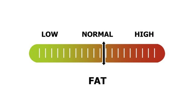 fat level indicator scale. Low normal & high meter infographic animation. Showing high fat level color gauge indicator. on a white background 4k animation video