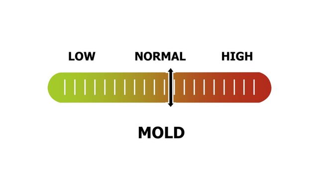 mold level indicator scale. Low normal & high meter infographic animation. Showing high mold level color gauge indicator. on a white background 4k animation video