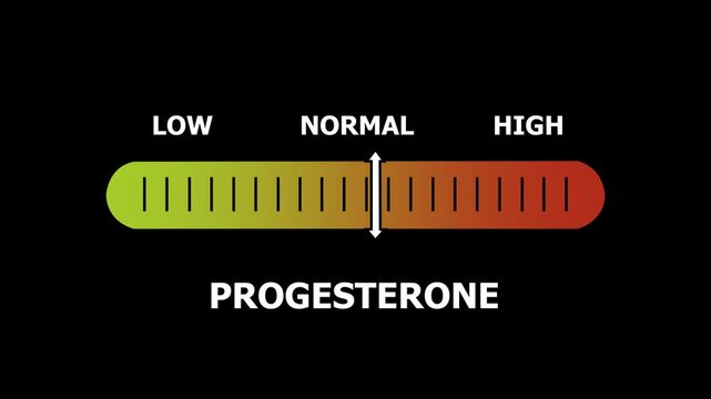 progesterone level indicator scale. Low normal & high meter infographic animation. Showing high progesterone level color gauge indicator. on a black background 4k animation video