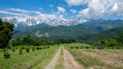 快晴の空と残雪の北アルプス　長野県白馬村 © RATM