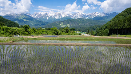 快晴の空と残雪の北アルプス　長野県白馬村 © RATM