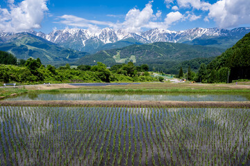 快晴の空と残雪の北アルプス　長野県白馬村 © RATM
