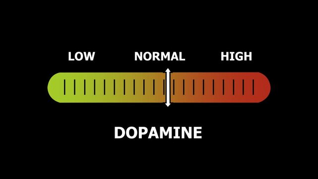 dopamine level indicator scale. Low normal & high meter infographic animation. Showing high dopamine level color gauge indicator. on a black background 4k animation video