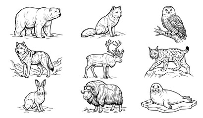 Hand drawn black and white doodle set of arctic and polar animals isolated on white background © Songkari