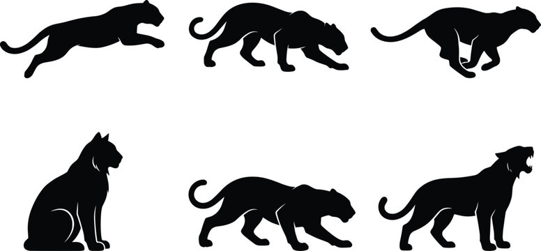Black panther silhouette set featuring wild big cats jumping stalking running sitting and roaring in action poses vector illustration.