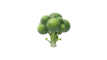 Fresh green broccoli floret standing upright with vibrant leaves Vector © MST AKHLIMA 