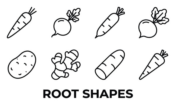 Collection of eight different root vegetable icons in a flat design style for various uses.