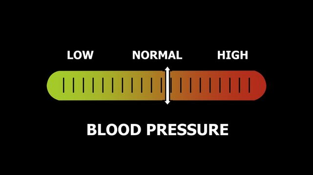 blood pressure level indicator scale. Low normal & high meter infographic animation. Showing high blood pressure level color gauge indicator. on a black background 4k animation video