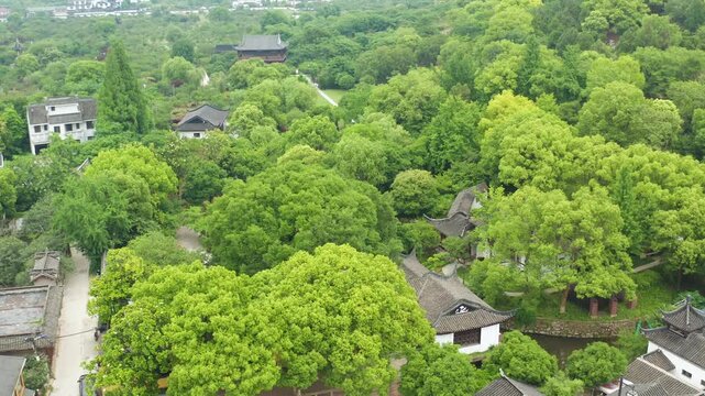 Aerial view of lush traditional Chinese garden with pavilions and trees