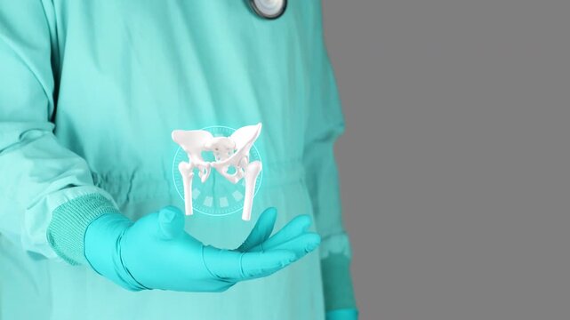 Doctor in green uniform presents the pelvis and hip joint in 3D. Concept of rheumatology, skeletal mobility, prevention and awareness of osteoporosis, and hip cartilage degeneration. Isolated.
