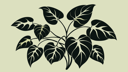 Dark green philodendron leaves in silhouette against a soft yellow background during a studio shoot © PD