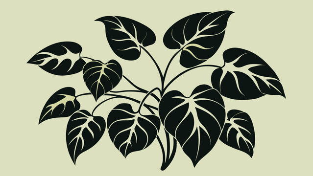 Dark green philodendron leaves in silhouette against a soft yellow background during a studio shoot