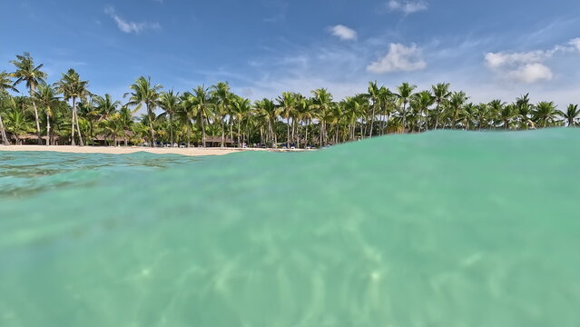 Turquoise Water and Palm Tree Beach in Panglao, Philippines