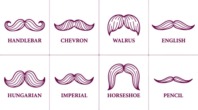 Eight types of mustaches in a graphic layout for design reference and stylistic elements.