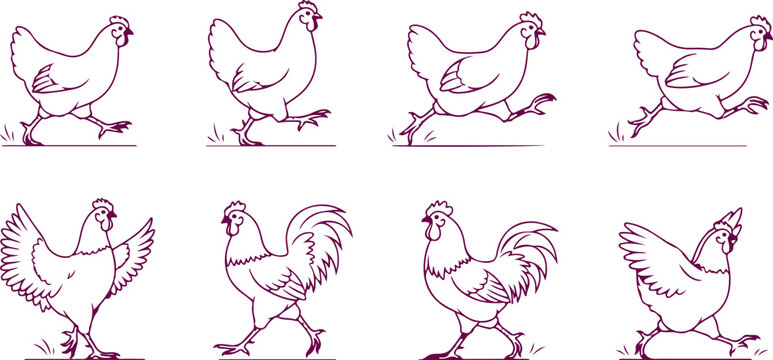Chicken and rooster animation set in running and walking poses for farm or poultry art.