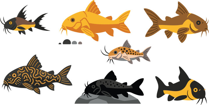 Corydoras Catfish Aquarium Pet Vector Illustration Set Featuring Flat Cartoon Armored Bottom Feeder Characters Swimming and Resting on Rocks
