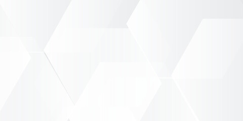 Obraz premium abstract hexagon white gradient color background with curve and swirl lines elegant
