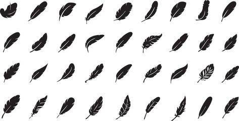 Collection of diverse feather icons simple black silhouette design elements for nature and design projects isolated on white background © aftab