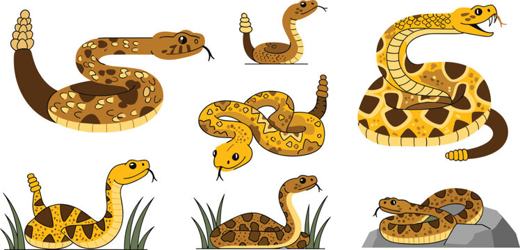 Venomous Rattlesnake and Viper Reptile Vector Illustration Set Featuring Flat Cartoon Crotalus Characters Coiled and Shaking Tail Rattle on White Background