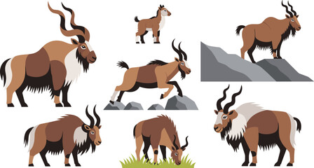 Fototapeta premium Wild Markhor and Mountain Goat Vector Illustration Set Featuring Flat Cartoon Capra Falconeri Characters Climbing Rocks and Grazing on White Background