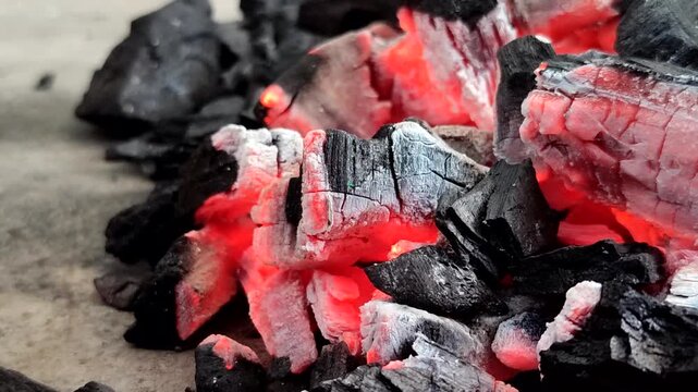 Hot burning charcoal with red embers and white ash. A stable, efficient, and smoke-free heat source, this charcoal is ideal for domestic, culinary, and industrial use