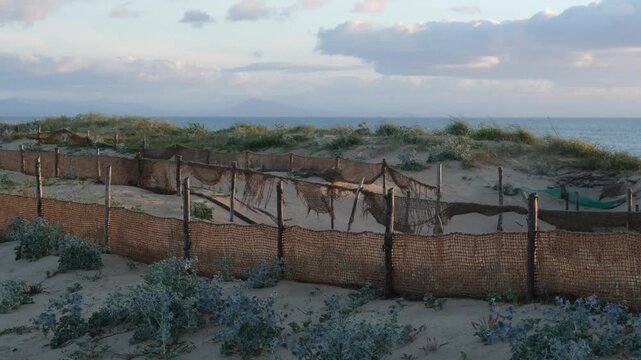 Static shot of a protected sand dune with a wooden fence on the beach of Labenne-Ocean at sunset, Landes, France