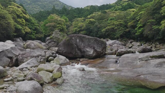 Flying over rocky river in green forest valley of Yokko Gorge on Yakushima Island, Japan