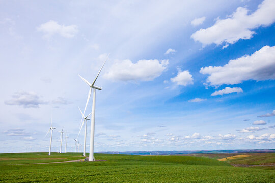 Wind farm on rolling green hills under blue sky