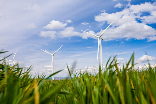 Low angle of wind turbines in a green field