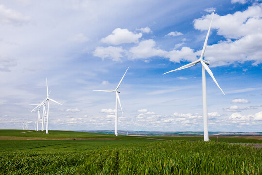 Row of wind turbines over green rolling hills