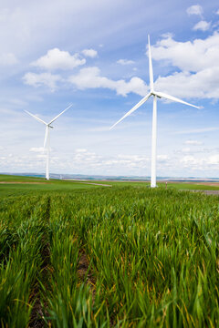 Wind turbines generating power in a green field