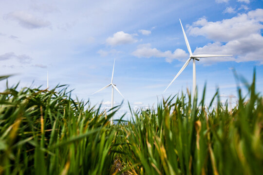 Low angle view of wind farm in green field