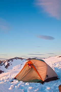 Adventurous woman sticker her head out of the tent, winter camping
