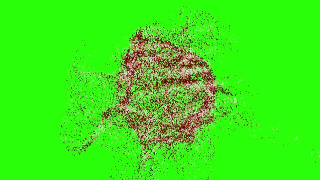 An abstract visual sequence of red particles forming a spherical shape appearing and dissipating in a fine pattern on a green background, suitable for titles or logo reveals, suitable for chroma key