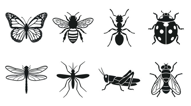 Insects and bugs on white background 1.
