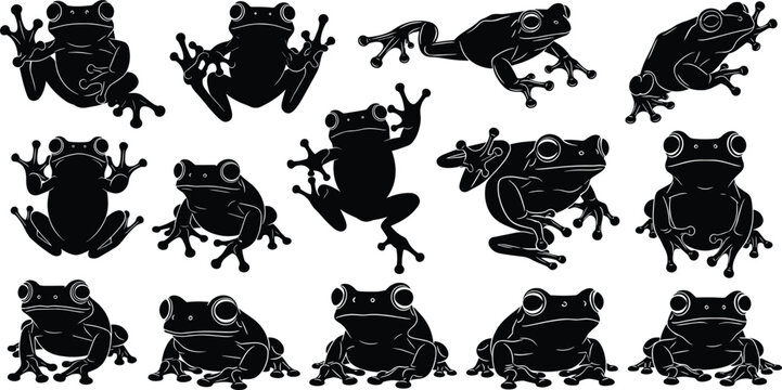 Frog Amphibian Vector Icon Set with Exotic Tree Frogs Toads Jumping Positions Wild Pond Nature Life Silhouettes