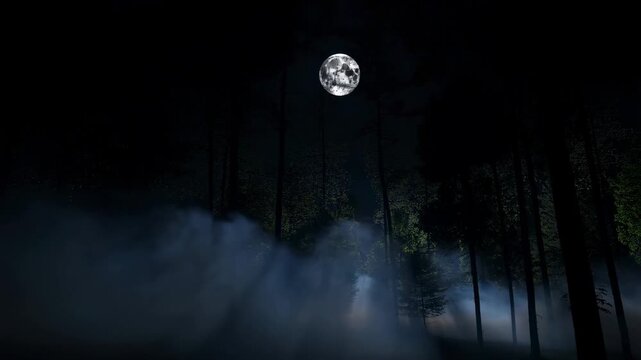 Mysterious moonlight over foggy forest with mystical atmosphere and moving shadows