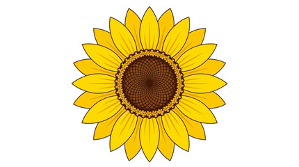 Obraz premium Vibrant yellow sunflower head with golden petals and detailed blooming flora specimen isolated on white background for botanical design element