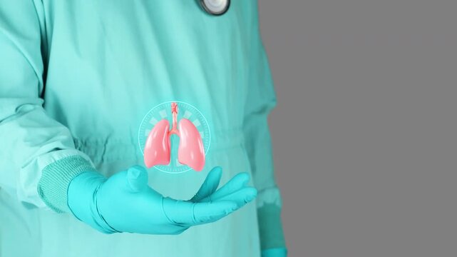 Doctor in green uniform presents the lungs in 3D. Concept of respiratory physiology, thoracic anatomy, prevention and awareness of pneumonia, pulmonary fibrosis and respiratory infections. Isolated.