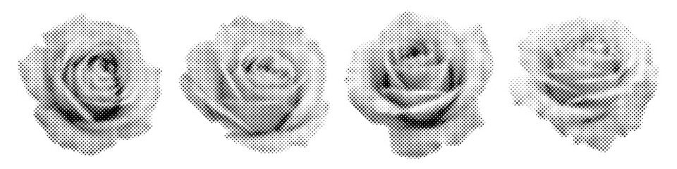 Set of roses in halftone style. Monochrome dotted flower illustrations with vintage comic effect © IRYNA